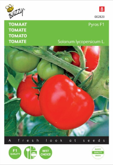 Tomato Pyros F1 (Solanum) 25 seeds BU